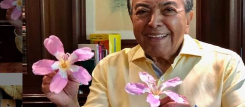 Maur&iacute;cio de Souza encantou os internautas com publica&ccedil;&atilde;o. (Reprodu&ccedil;&atilde;o/Instagram/@mauricioaraujosousa)