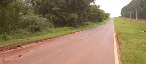 Idoso foi atacado nesta estrada em Cerqueira C&eacute;sar. (Divulga&ccedil;&atilde;o/Corpo de Bombeiros)