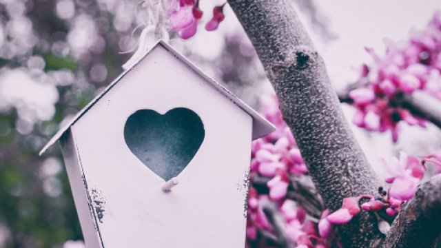 L'oroscopo dell'amore per i single, 4 maggio.