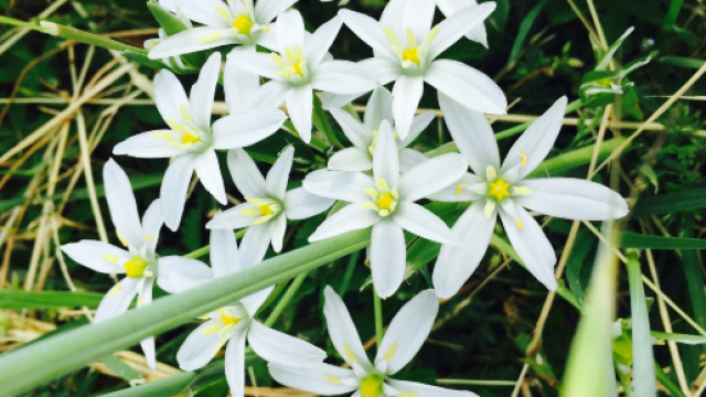 Oroscopo 10 maggio: Cancro e Bilancia distesi, Acquario infastidito