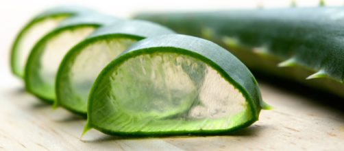 Aloe vera's natural remedy. www.holdthe hairline.com