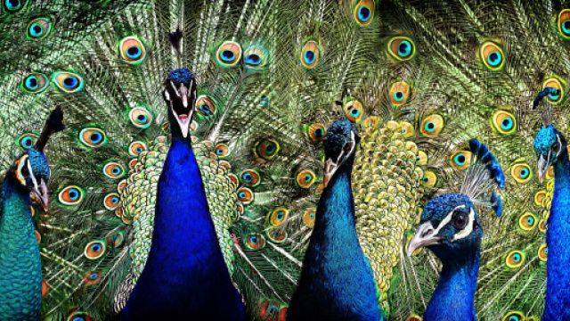 I 5 segni zodiacali pi&ugrave; vanitosi