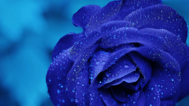 L'oroscopo dell'amore di coppia, 28 maggio.