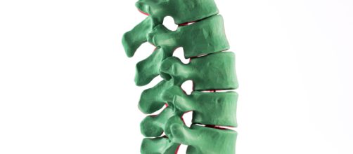 La impresi&oacute;n de &oacute;rganos en 3D se ve facilitada por un colorante alimentario