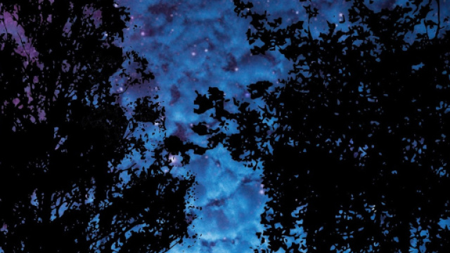 L'oroscopo di domani segno per segno.