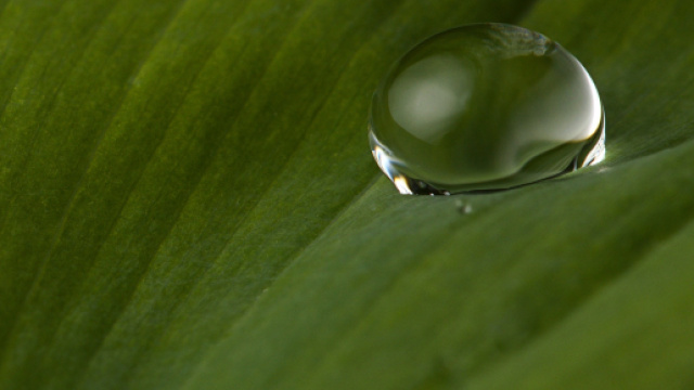 L'oroscopo dell'amore per i single, 7 maggio.