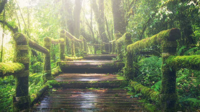 L'oroscopo di luned&igrave; segno per segno.