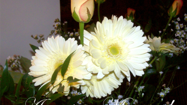 5 sms per la Festa della mamma