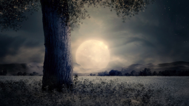 L'oroscopo di domani 13 giugno.