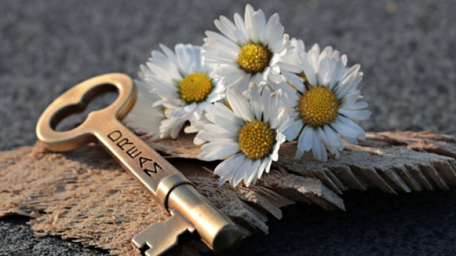 Oroscopo 14 giugno: Acquario infantile e giocoso, Pesci sognatori