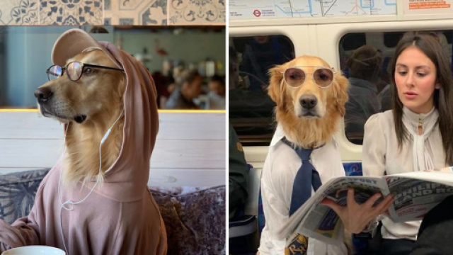 Cette photographe se met en sc&egrave;ne avec son chien dans des ... - creapills.com