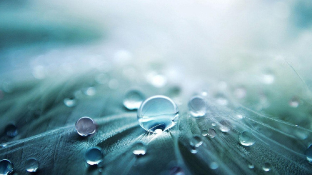 L'oroscopo di domenica segno per segno.