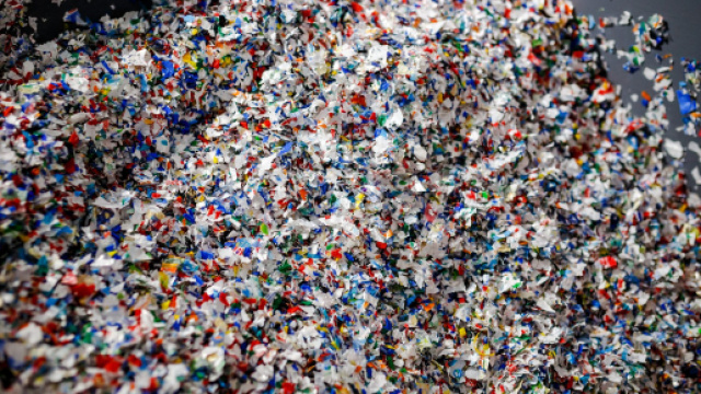 Ogni settimana ingeriamo una quantit&agrave; di microplastiche pari ad una carta di credito.