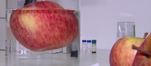 Pesquisa alerta para riscos dos agrot&oacute;xicos. (Reprodu&ccedil;&atilde;o/ TV Anhanguera)