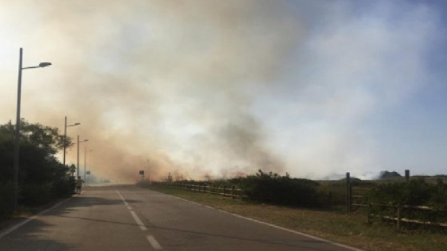 Brindisi, incendio a Punta del Serrone: distrutti 300 metri di macchia mediterranea