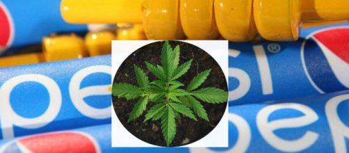 No, marijuana Pepsi is not a new drink, but it's a good person. - Image credit - (2) CCO | Pixabay