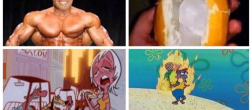 Los mejores memes para enfrentar la ola de calor