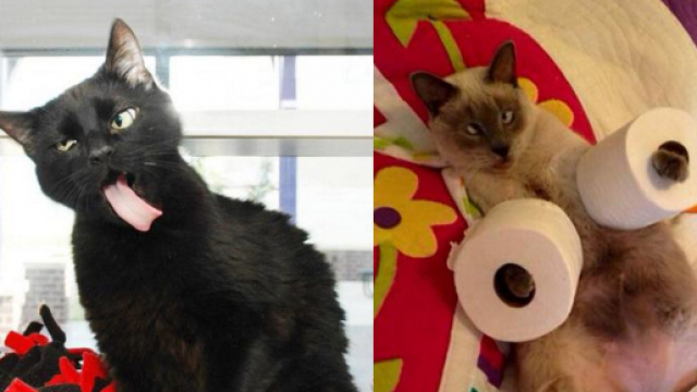 moche : top listes et classements | Topito - topito.com