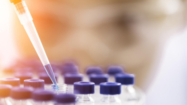 Test antidoping tra gli sportivi amatoriali, positivo il 2,2% dei controllati. foto - gesteco.it