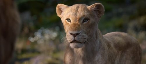 'Come home,' Nala (Beyonc&eacute;) tells Simba in a scene from 'The Lion King,' premiering July. [Image source: Walt Disney Pictures/YouTube/Screenshot]