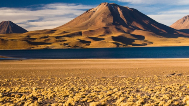 La desertificazione &egrave; un problema sempre pi&ugrave; serio.