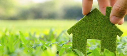 Sencillas acciones para cuidar el medio ambiente desde casa