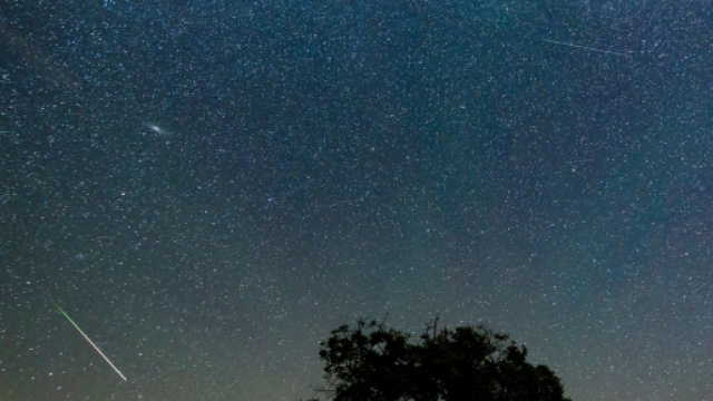 Oroscopo e stelle di inizio luglio per i segni