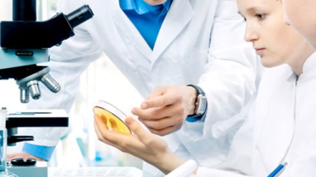 Concorso OSS, scadenza domande 18 luglio