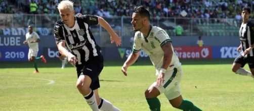 Figueira atropelou Coelho no Horto. (Divulga&ccedil;&atilde;o/ Daniel Hott/ Am&eacute;rica MG)