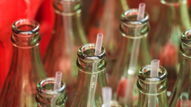 Studio osservazionale sulle bevande gassate zuccherate e il rischio di cancro. (Canva)