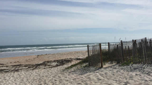 Florida, uomo muore mangiato dai batteri carnivori dopo aver fatto il bagno in mare
