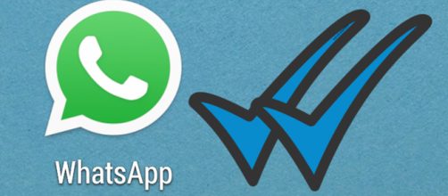 El modo avi&oacute;n de Whastapp, c&oacute;mo activarlo