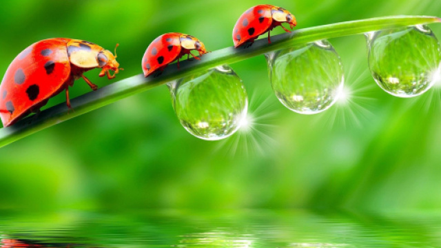 Previsioni oroscopo luned&igrave; 22 luglio 2019