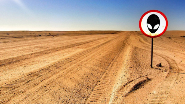 Decine di migliaia di utenti si stanno organizzando online per ... - gametimers.it