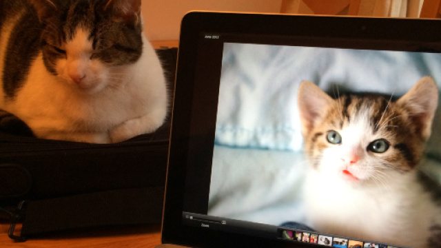 Images Gratuites : portable, ordinateur, Macbook, vieux, Jeune ... - pxhere.com