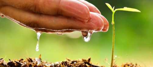 Consejos para salvar el planeta
