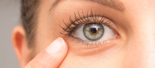 El ojo es el &oacute;rgano fundamental de la visi&oacute;n. - cinfasalud.com