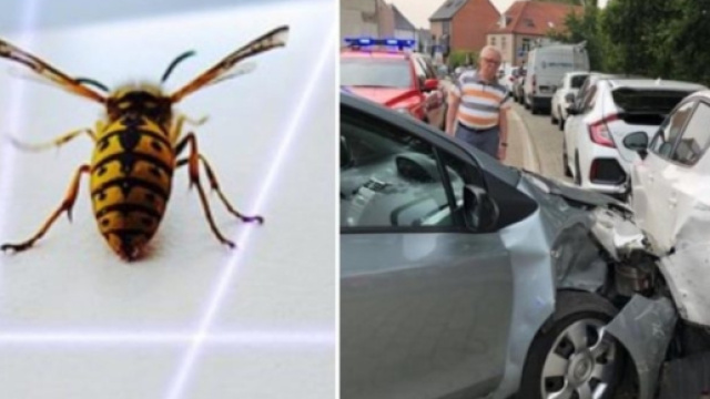 En voulant tuer une gu&ecirc;pe, il provoque un accident de voiture - Photo publi&eacute;e par topibuzz