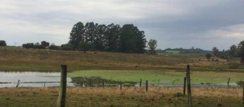 A&ccedil;ude no qual corpo da menina foi encontrado em S&atilde;o Gabriel (RS). (Divulga&ccedil;&atilde;o/Pol&iacute;cia Civil)