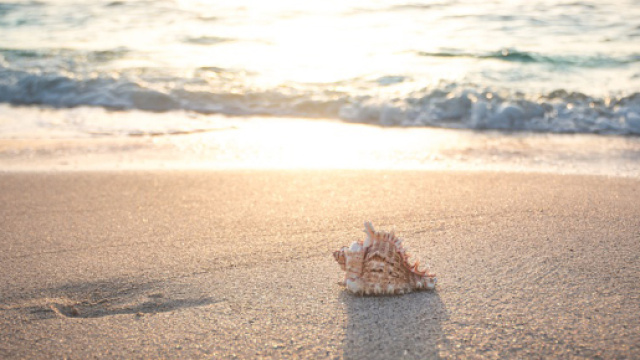 L'oroscopo del 24 luglio: problemi per Cancro, Acquario invisibile