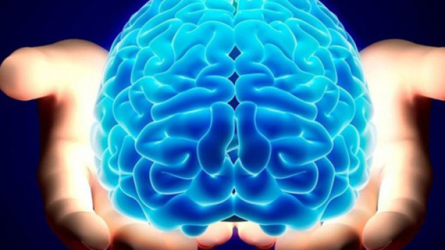 Alzheimer: perch&egrave; l'insorgenza della malattia &egrave; pi&ugrave; frequente nelle donne