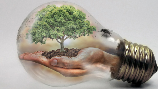 Overshoot Day 2019: il 29 luglio finite le risorse