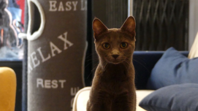 10 nouvelles adresses originales &agrave; tester &agrave; Rennes - Office de ... - tourisme-rennes.com