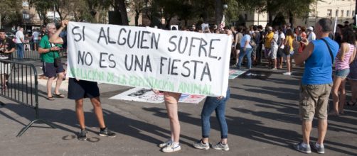 PP y Cs prefieren gastar dinero en la tauromaquia que en educaci&oacute;n
