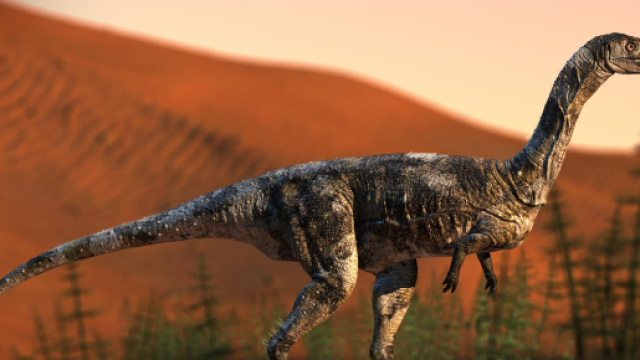 Il dinosauro che camminava su un solo dito | Разное - ryb.ru