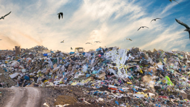 Il rapporto Ecomafia 2019 di Legambiente