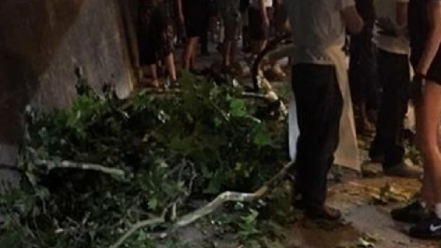 Roma, cade il ramo di un albero e colpisce una famiglia: sette feriti