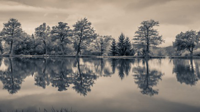 L'Oroscopo del 5 luglio: conflitti per Toro e Leone