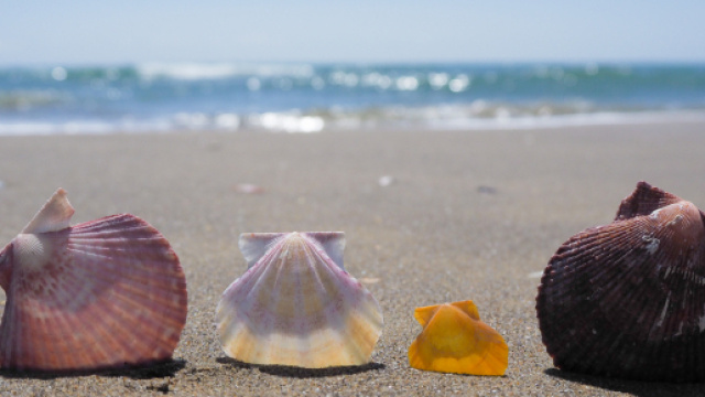 Oroscopo di domani 12 luglio 2019 | Astrologia, classifica e previsioni per i primi sei segni dello zodiaco