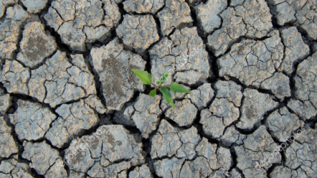 Cambiamenti e migranti climatici